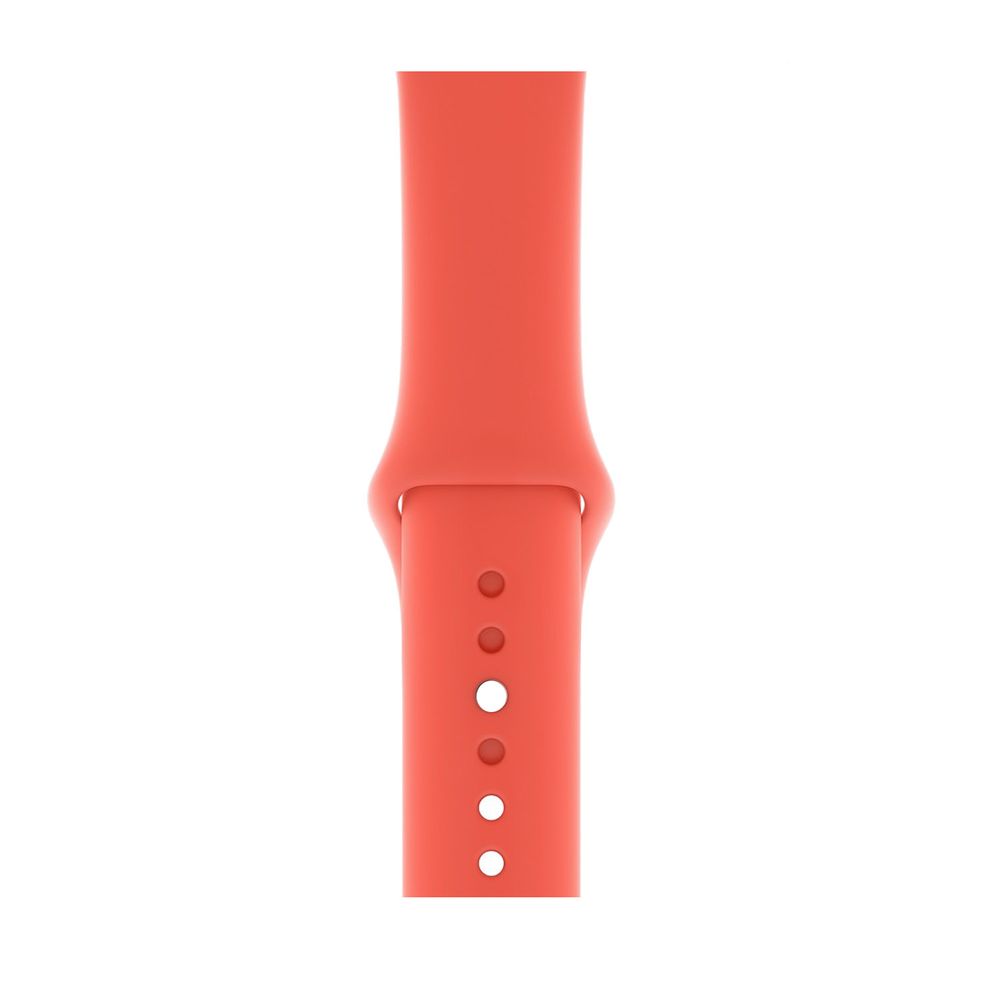 apple watch nectarine sport loop